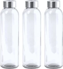 6x Stuks Glazen Waterfles/drinkfles Transparant Met Rvs Dop 550 Ml - Sportfles - Bidon