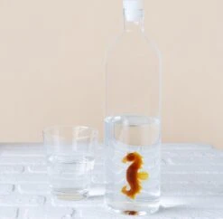 Balvi Waterfles - Zeepaard -Waterfilterkan Winkel 1200x1178