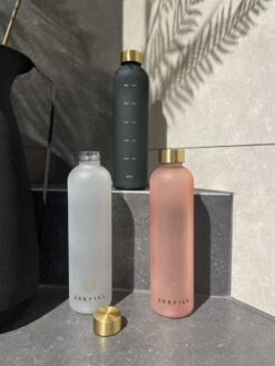 Merkloos 2Refill Luxe Drinkfles Met Tijdmarkeringen - Motiverende Waterfles - Volwassenen - Wit/Goud - 1 Liter/1000 ML - BPA Vrij - Motivatiefles - Motivatie - Sportfles - Fitness - Cadeau -Waterfilterkan Winkel 900x1200 12